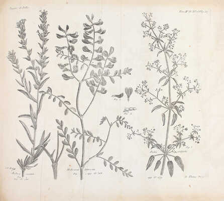 [Фундаментальный труд по истории русской географии XVIII в.]. Паллас П.С. Путешествие по разным провинциям Российской империи. [В 3 ч., 4 кн.]. СПб.: При Имп. Акад. наук, 1786–1809.